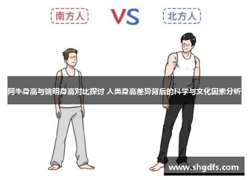 阿牛身高与姚明身高对比探讨 人类身高差异背后的科学与文化因素分析