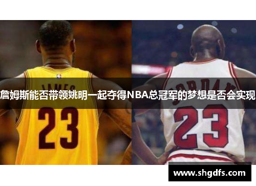 詹姆斯能否带领姚明一起夺得NBA总冠军的梦想是否会实现