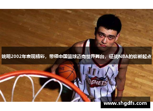 姚明2002年表现精彩，带领中国篮球迈向世界舞台，征战NBA的崭新起点