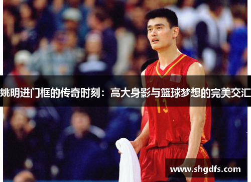 姚明进门框的传奇时刻：高大身影与篮球梦想的完美交汇