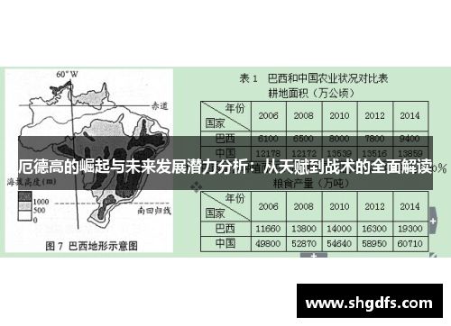 厄德高的崛起与未来发展潜力分析：从天赋到战术的全面解读